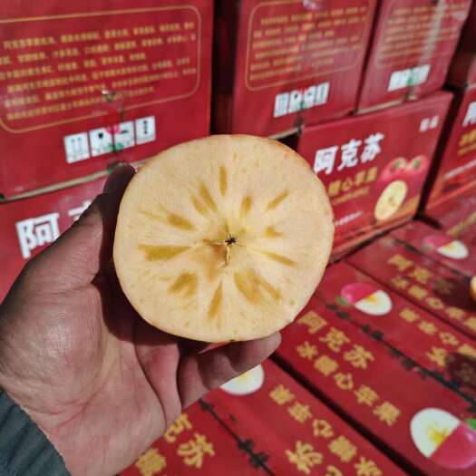 晋州市河北石家庄晋州新鲜苹果 核果仁果类优质好果 果园直发