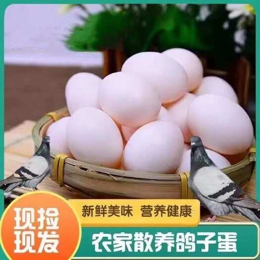无极县鸽子蛋