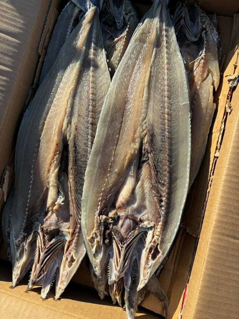 燕鲅鱼、一款开背去内脏得咸鱼、大量供货