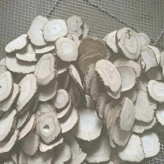 亳州无硫白芷片，精选大片，中片，颗粒，各种规格量大从优