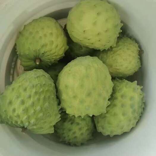 元谋县释迦果