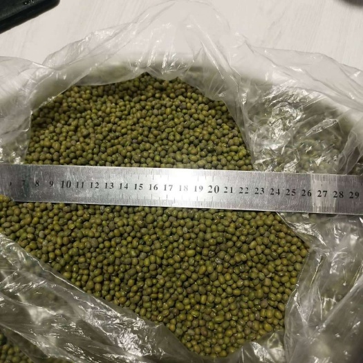 西安乌兹别克斯坦绿豆期货1000吨，25年10月交货，送货上门