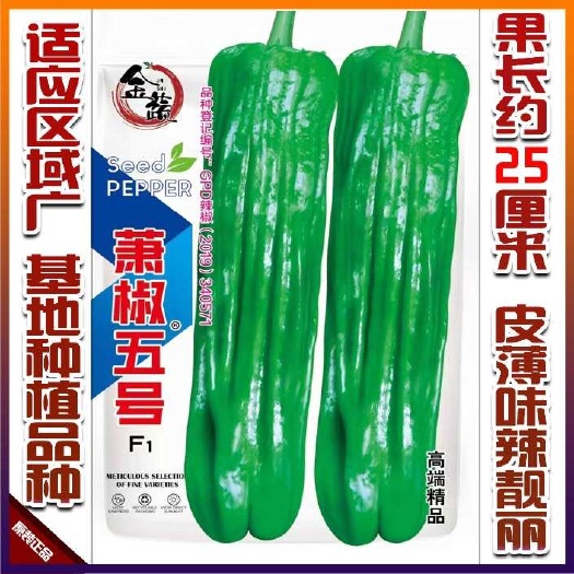 凯里市萧椒五号薄皮芜湖椒皱皮椒薄皮椒辣椒种子大果泡椒种1000粒袋
