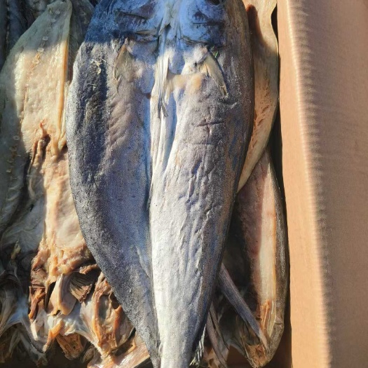 滨州鲅鱼干  精选新鲜鲅鱼干 原产地直发品质保证
