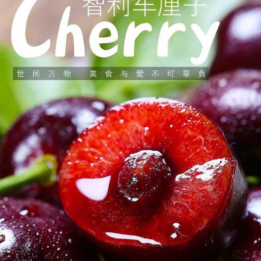 车厘子  多品种一手货源直发