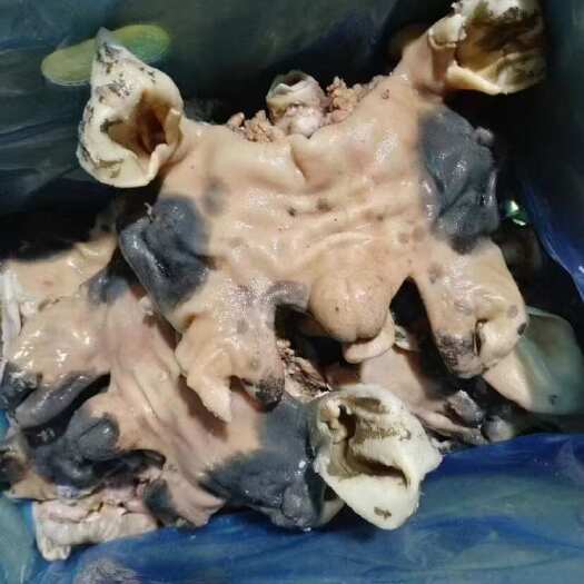 中牟县全熟花头，黑头