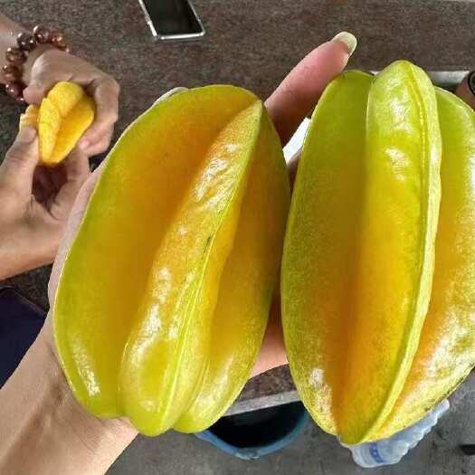普宁市潮汕甜杨桃