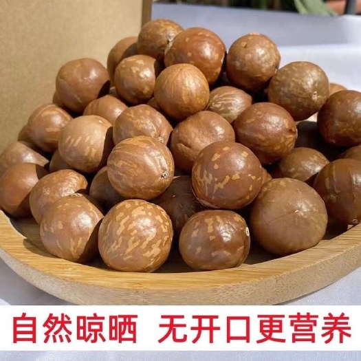 永德县云南原产地夏威夷果生料特大颗粒批发零售摆摊销售孕妇零食