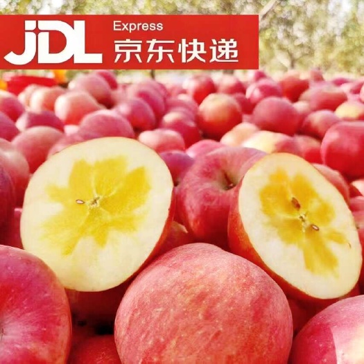 洛川县【一件代发】洛川苹果承接电商直播带货微商团购落地配等