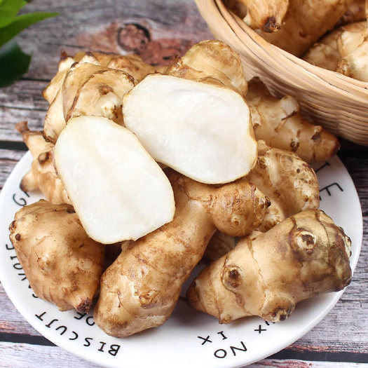 现挖洋姜新鲜鬼子姜不辣姜菊芋洋姜种子