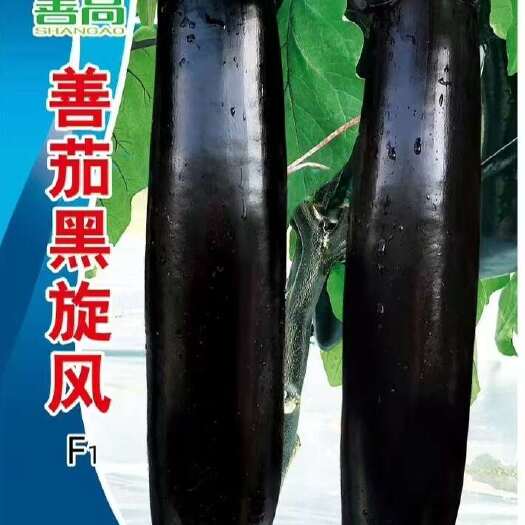 樟树市善茄黑旋风杂交茄子种子早熟紫黑亮丽果肉甜淡绿色蔬菜籽丰产抗病