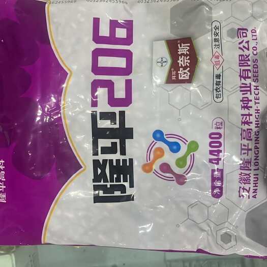 滑县隆平206（最新升级）