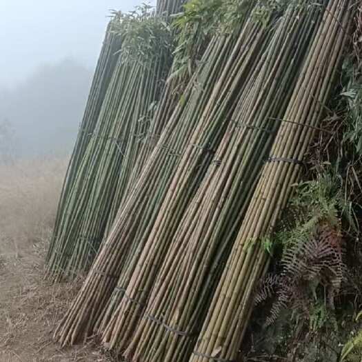 金秀县大量黄金竹上市