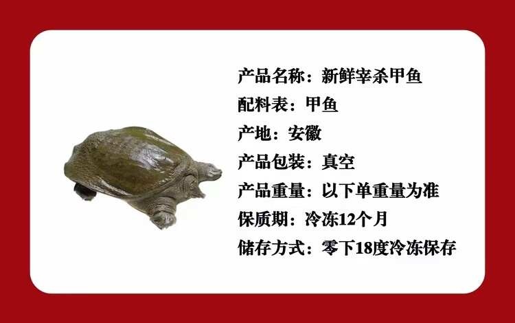 东至县顺丰包邮正品净膛甲鱼（现杀）