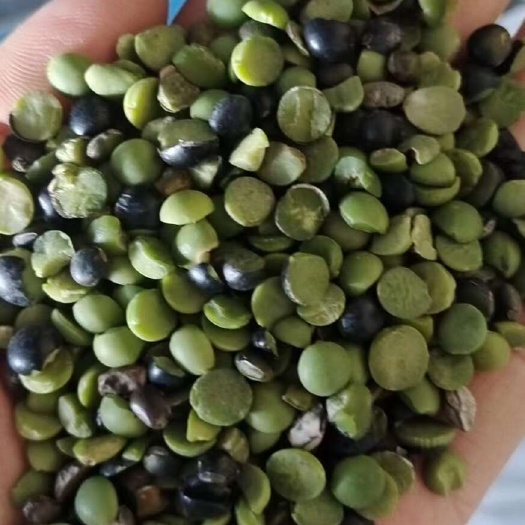 临沂黑豆瓣，青豆