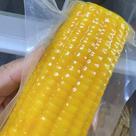 辉南县吉林玉米量大