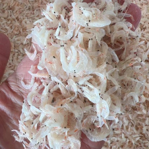 佛山虾皮 虾干 干虾 地摊 电商 批发 水晶虾干 干虾皮