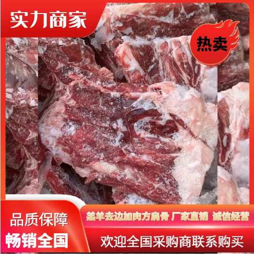 河北沧州间市 羔羊加肉方肩骨有蝎子 有排 厂家直销