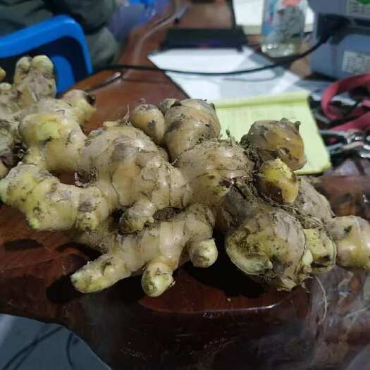 东兰县生姜
