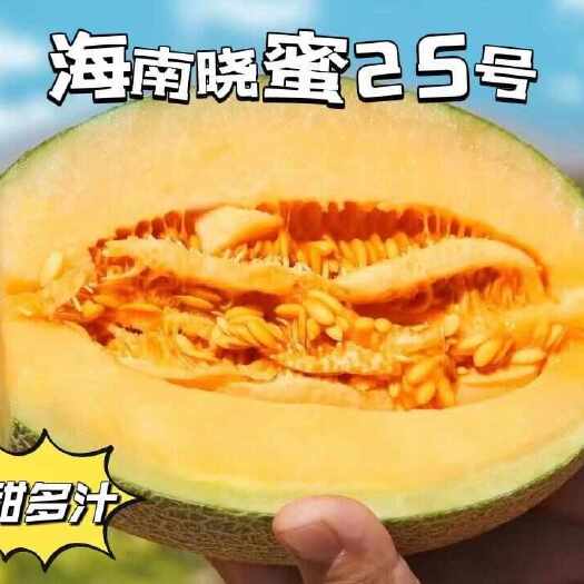 海南哈蜜瓜西州蜜晓蜜25 香甜清脆 脆甜爽口 水分足 皮很薄