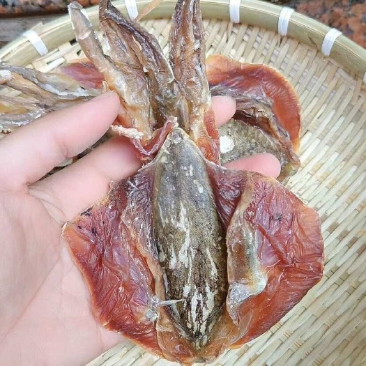 北海顺丰包邮血墨鱼风干晒干孕妈妈煲汤无盐淡晒干风干渔家船捕晒