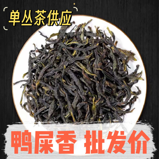 新丰县鸭屎香 密兰香 玉兰香 单丛茶 潮州凤凰单枞茶 潮州特产单枞