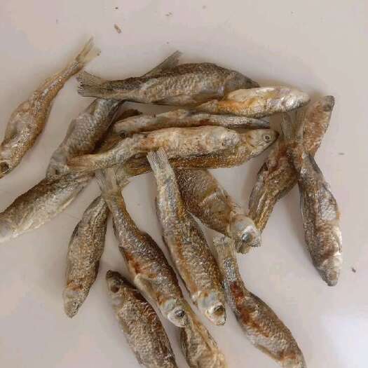 费县麦穗鱼干，淡水，去肚，可根据客户要求定做，火陪，晒干，烘干，