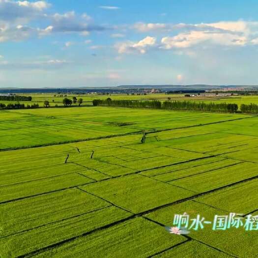 宁安市火山熔岩石板大米