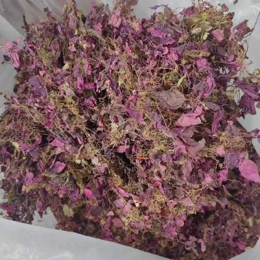 雅安风柜斗草