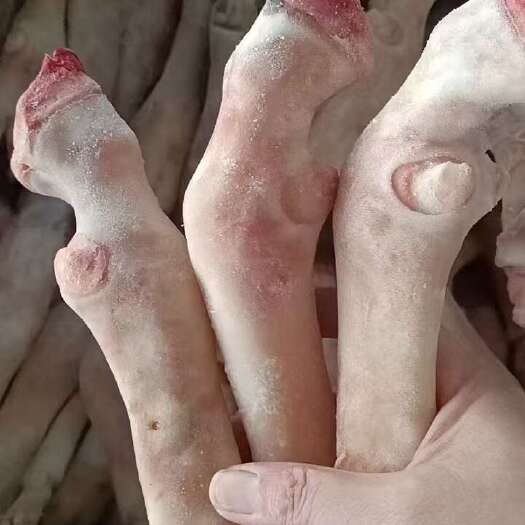 临沂羊蹄