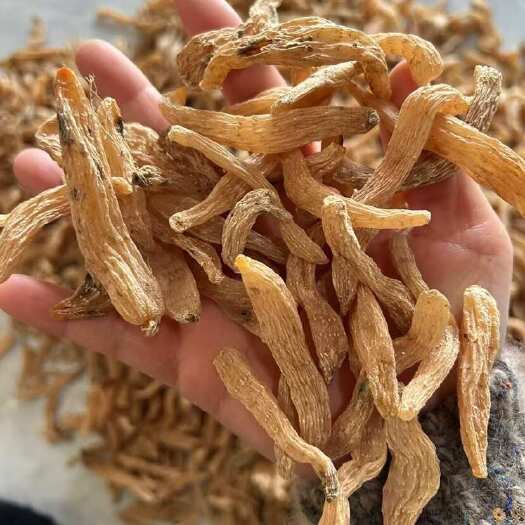 罗田县小天麻干货批发，大别山天麻产地批发湖北罗田天麻籽麻无硫本色