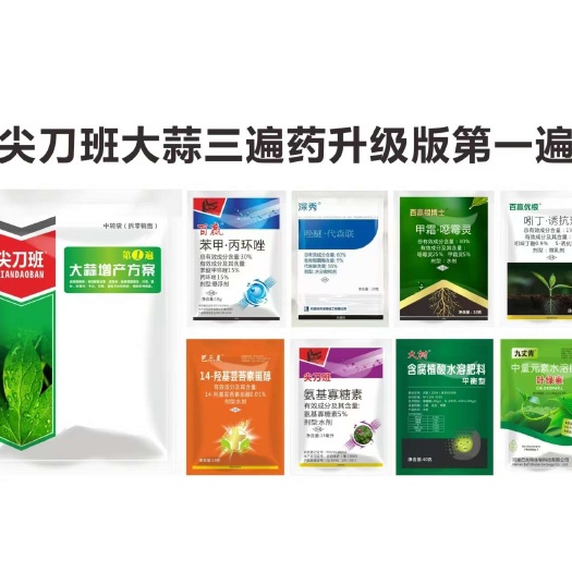 大蒜套餐大蒜三遍药增产营养杀菌大蒜套餐