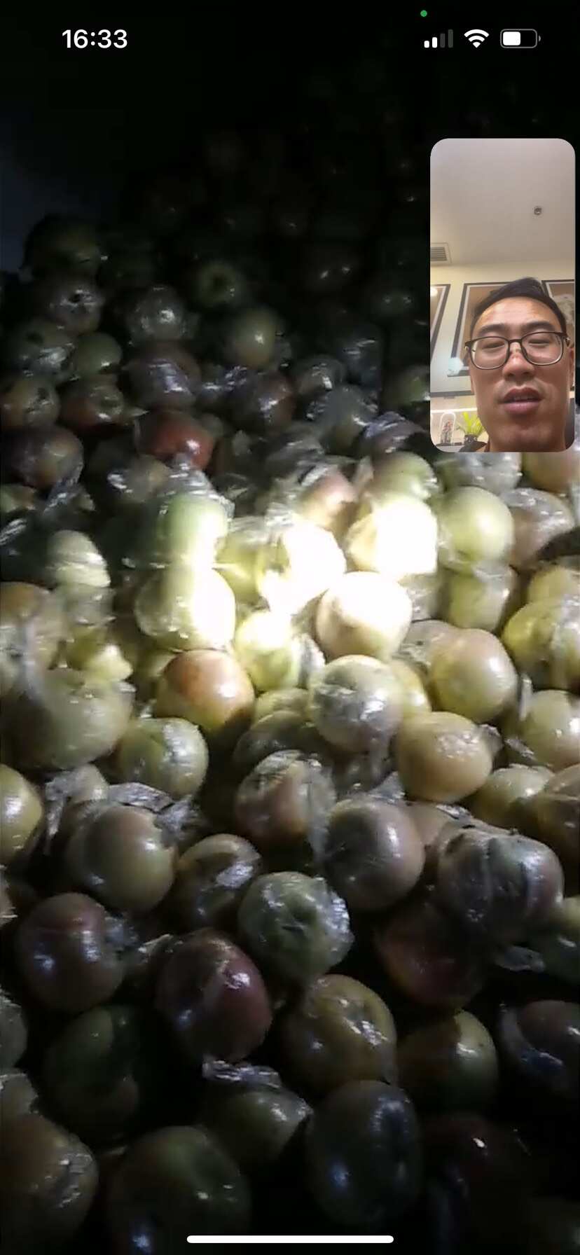 富士苹果