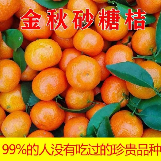 上林县金秋砂糖橘子当季新鲜柑橘水果桔子沙糖桔蜜桔薄皮蜜橘整箱