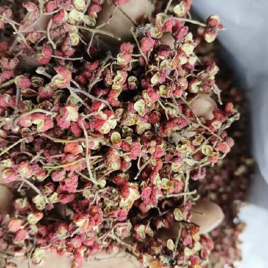 富平县狮子头大红袍干花椒 陕西渭南富平原产地精选 品质保证