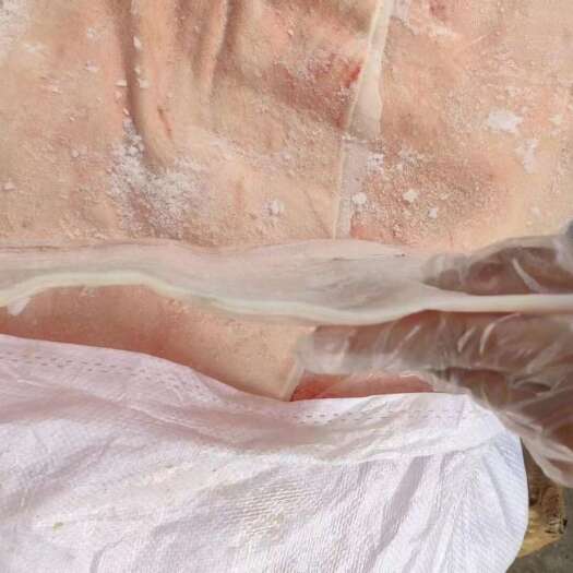 临沂中粮大皮