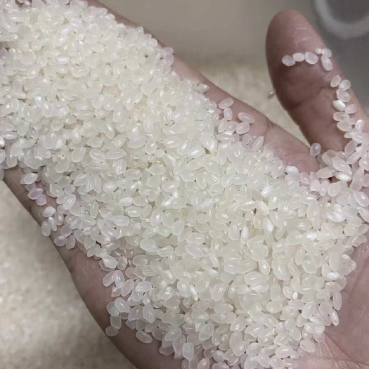 辽阳珍珠米