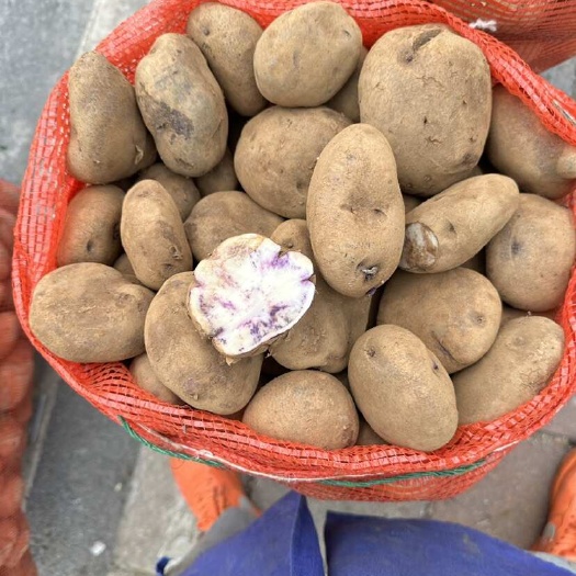 威宁洋芋（乌洋芋）￼紫皮紫心