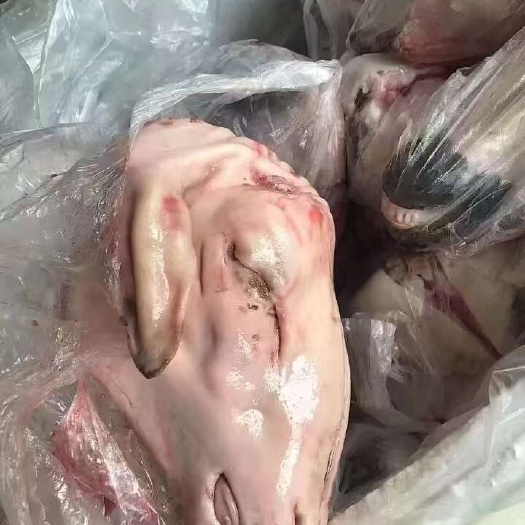 临沂羊头