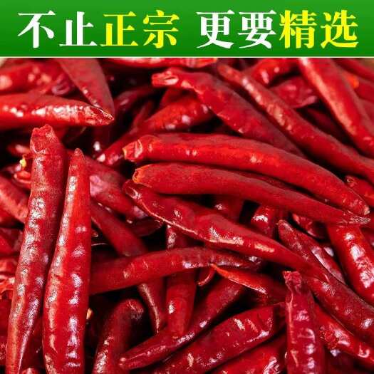 红太阳 精品