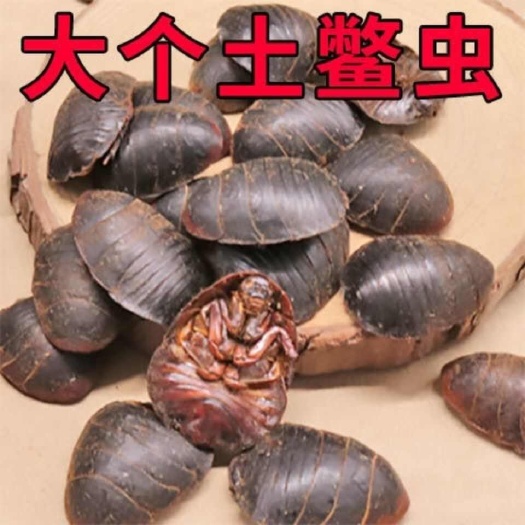 陇县陕西宝鸡陇县优质中华土元干货500g装