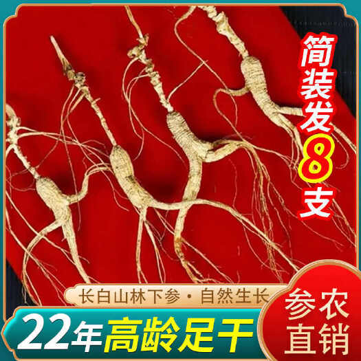 【22年林下参】人参长白山林下参东北特产泡酒煲汤非园参足龄包