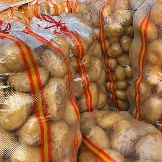 通许县白菜。青萝卜  土豆  菜花