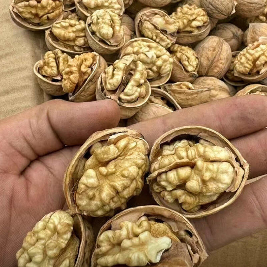 乌鲁木齐纸皮核桃24年新疆185薄皮核桃手剥散装坚果包邮批发