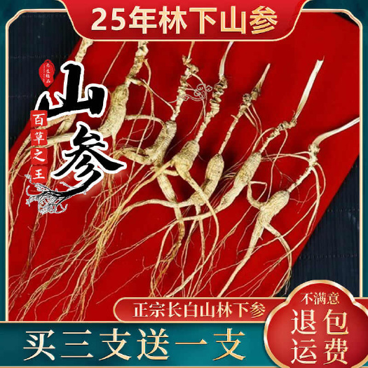 高龄林参长白山林下参足年老山参干参