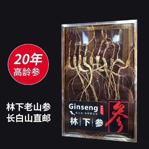通化县人参长白山20年林下参非山参礼盒装送礼人参东北特产泡酒人参