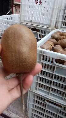 徐香猕猴桃（冷库果80-150克