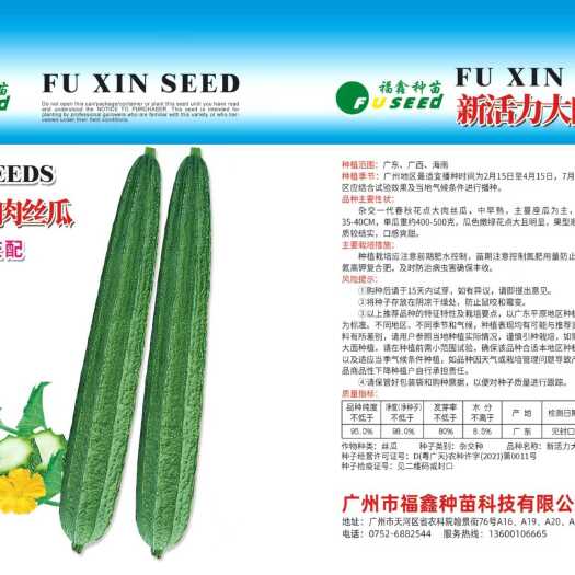 博罗县新活力丝瓜苗，大花点早熟耐寒，抗性强，包邮