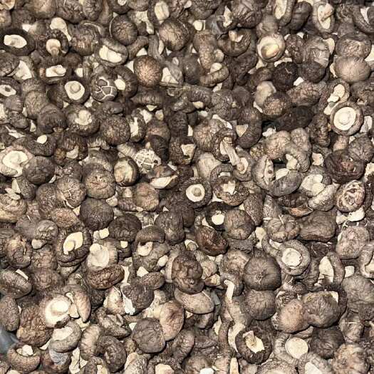 泌阳县【干香菇】全国发货 精品小香菇 形状好 肉质厚