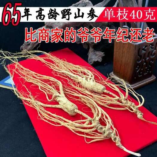 通化县65年山参长白山人参正品林下参高档礼盒装东北干参